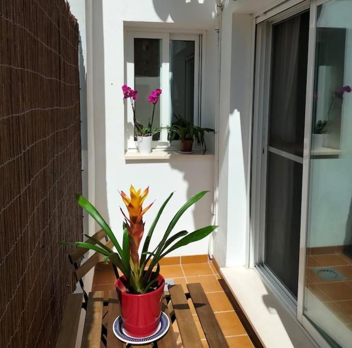 Estudio 52 Malaga Centrico Parking Gratuito Apartman Kültér fotó